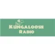 Kungaloosh Radio