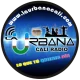 LA URBANA CALI RADIO