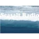 Laut fm Seasalt Radio