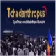 Le Tchadanthropus Web Radio