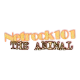 Netrock101