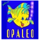 OPALEO