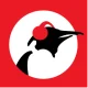 Pinguin Radio