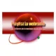 Playlist la Webradio