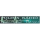 Pulzus FM 92.1