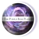 Purple Rose Planet