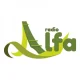 Radio Alfa