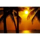 Radio Art - Chillout & Tropical