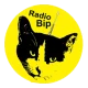 Radio BipTunia