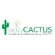 Radio Cactus