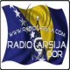 Radio Carsija
