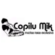 Radio Copilu Mik
