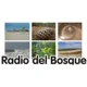Radio Del Bosque