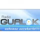 Radio Gualok FM 101.3