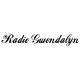 Radio Gwen