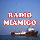 radio miamigo