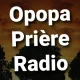 Radio Prophetie Fm 91.1