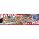 RADIO SAN MIGUEL