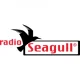 Radio Seagull