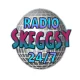 Radio Skeggsy