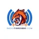 Radio Tigres Broadcast Baseball Channel