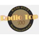 Radio top 100