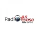 RADIO UESE ITALIA All News