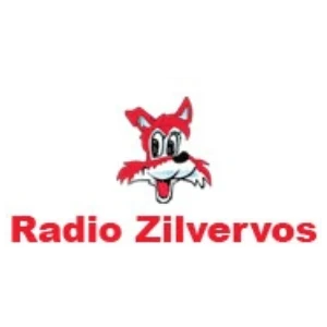 Radio Zilvervos