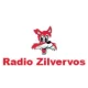 Radio Zilvervos