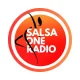 Salsa One radio