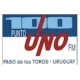 Santa Isabel 100.1 FM Paso de los Toros