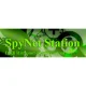 Spynet Station - The Main Flow