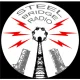 Steel Bridge Radio