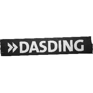 SWR DasDing Plattenleger