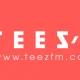 TEEZ FM