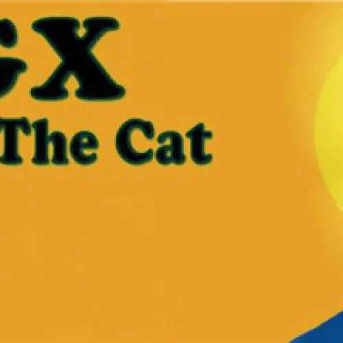 The Cat