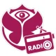 Tomorrowland One World Radio - Daybreak channel