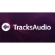 Tracksaudio - 80s Music