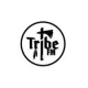 TriBe FM