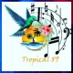 TROPICAL89
