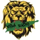 VIild RADIO