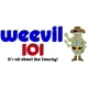 Weevil 101