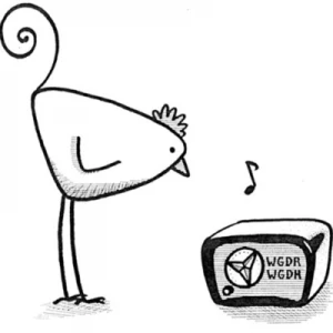 WGDR Goddard College Community Radio