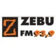 Zebu FM